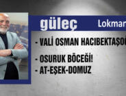 LOKMAN GÜL yazıyor